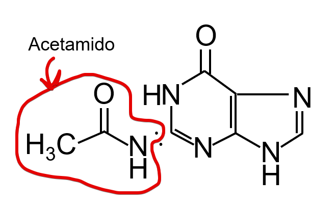 2-Acetamido-6-hydroxypurine中のAcetamido