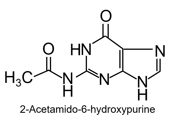 2-Acetamido-6-hydroxypurineの構造